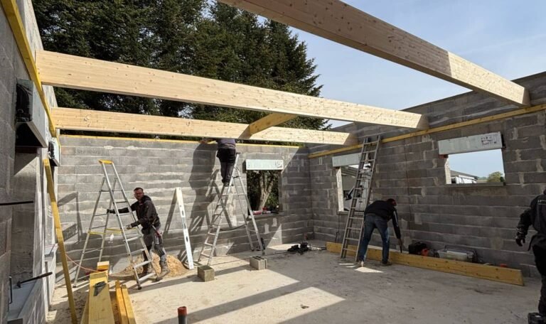 charpente-bois-solivage-extension-maison-saint-jacques-sur-darnetal.jpg
